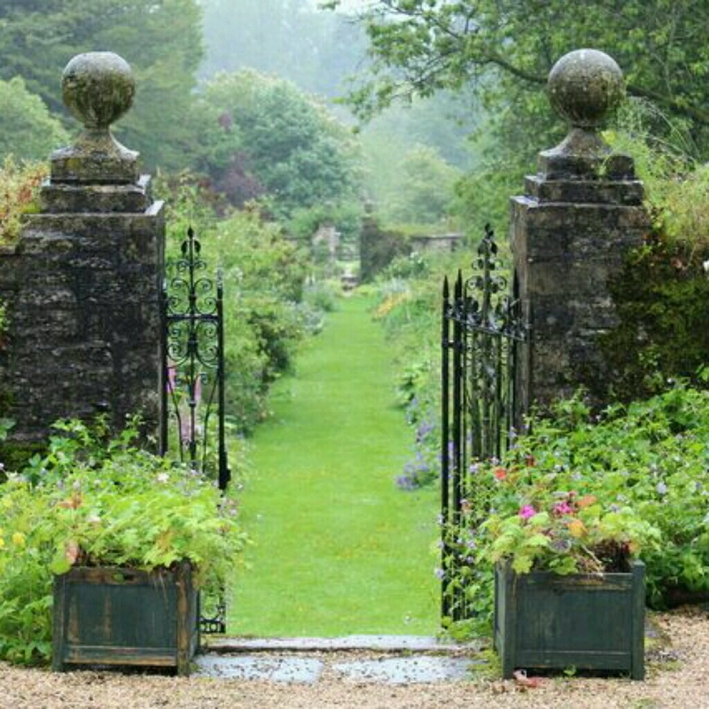 Meet your Posher, Susannah